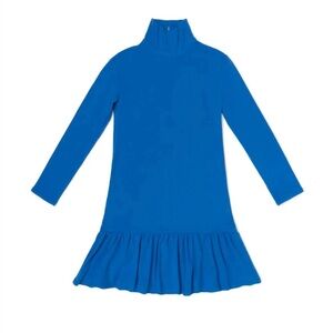 Buru Long Sleeve Turtleneck Mini Dress in Blue